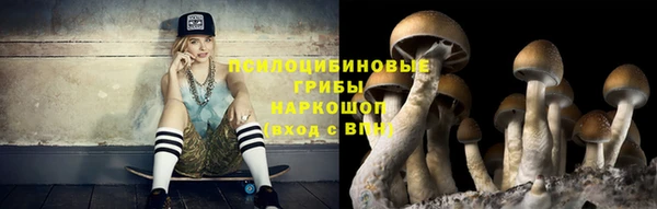 МДПВ Пестово