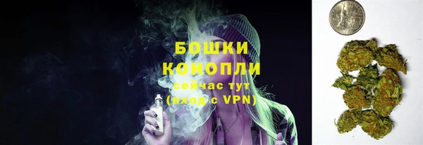 МДПВ Пестово