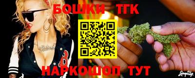 индика Гусиноозёрск