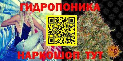 индика Гусиноозёрск