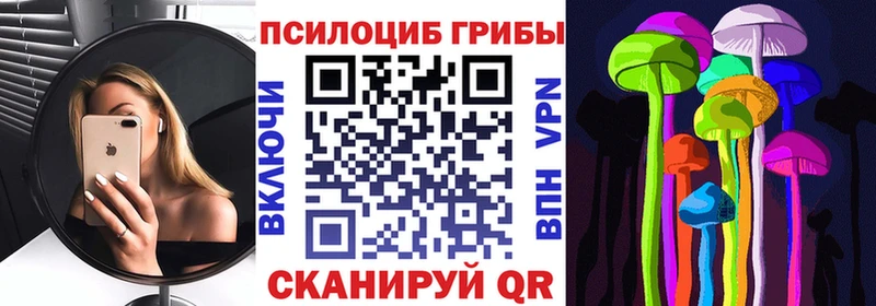 где можно купить   Лениногорск  Галлюциногенные грибы прущие грибы 