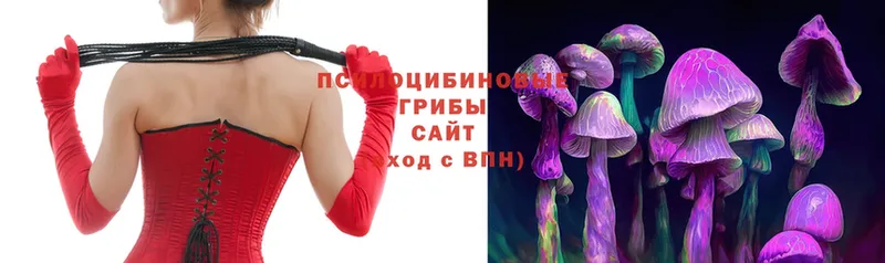 MEGA ссылки  Лениногорск  Галлюциногенные грибы Magic Shrooms 