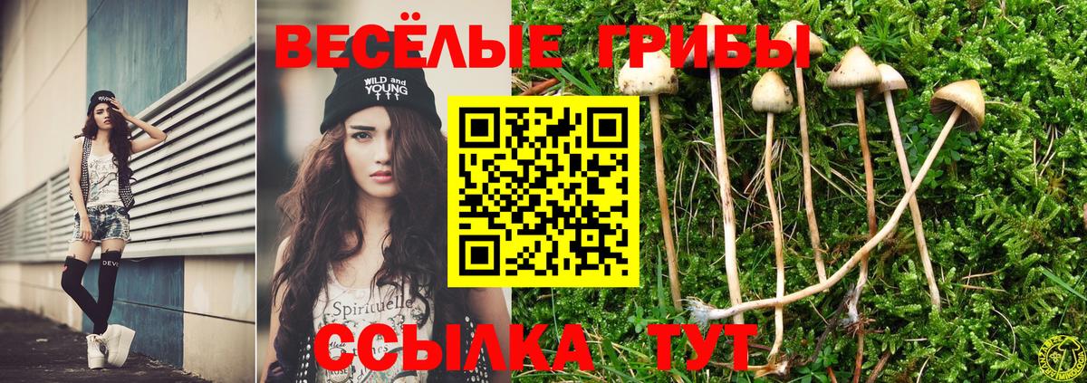 Галлюциногенные грибы мицелий  купить наркоту  Лениногорск  Вход с VPN 